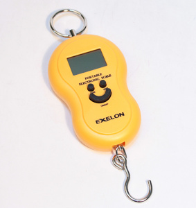 Весы Exelon S-872